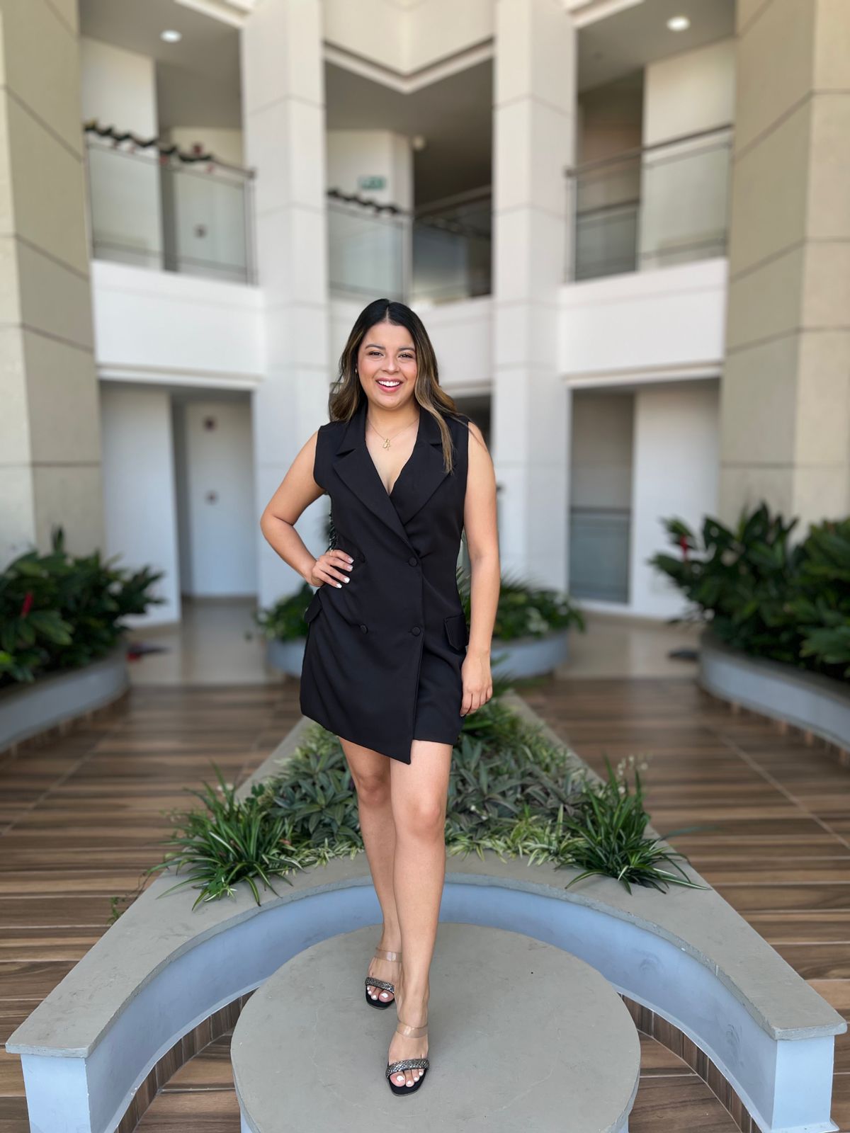 Vestido Viena